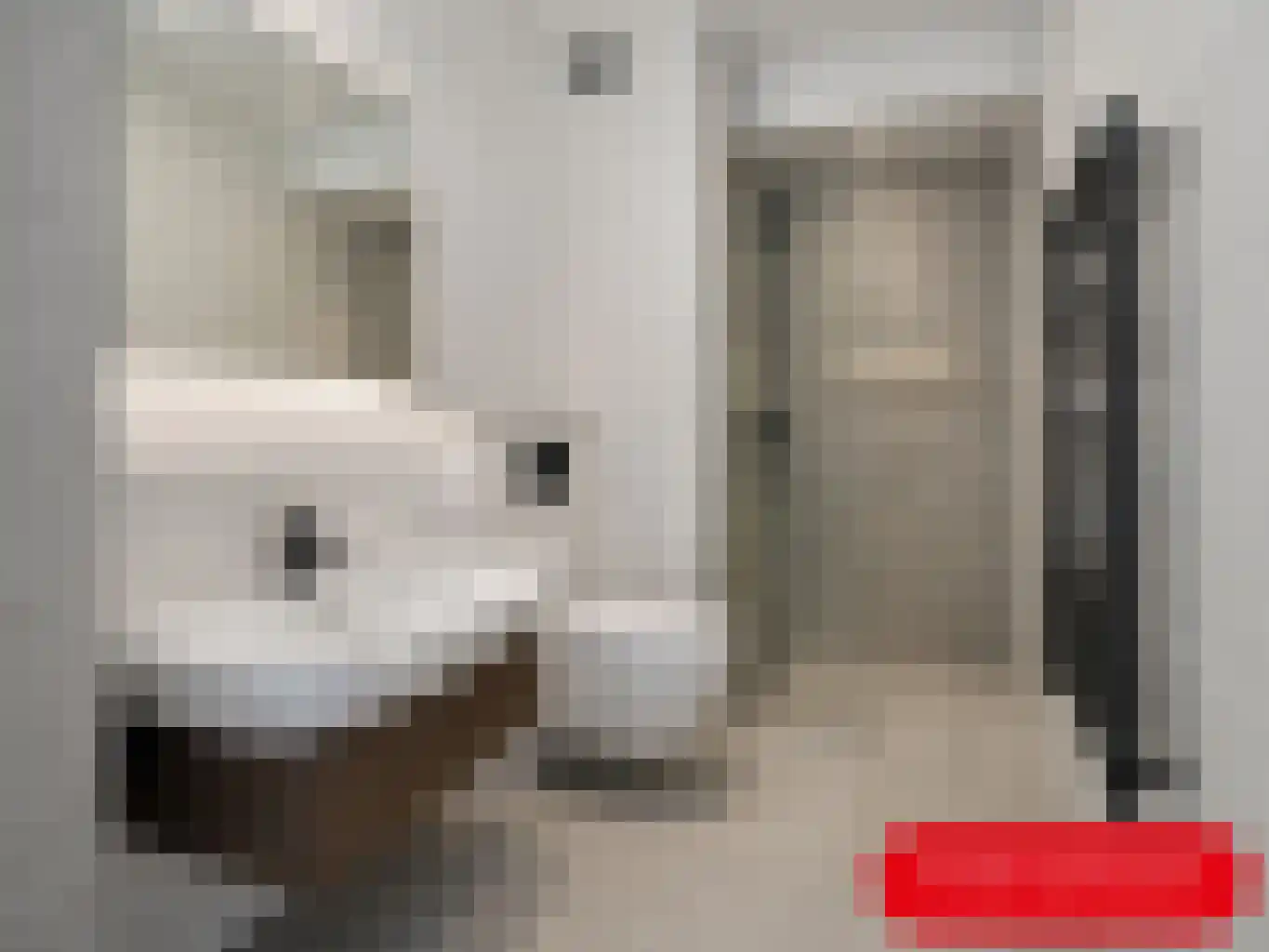 Genovevalaan 150 Eindhoven thumbnail 11