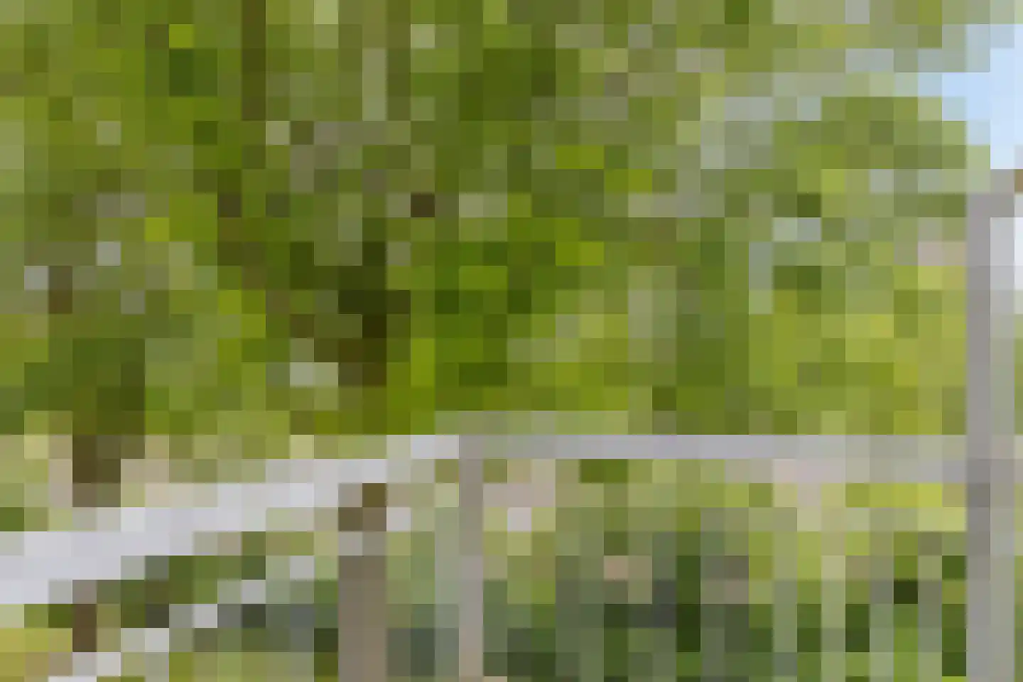 Genovevalaan 150 Eindhoven thumbnail 14