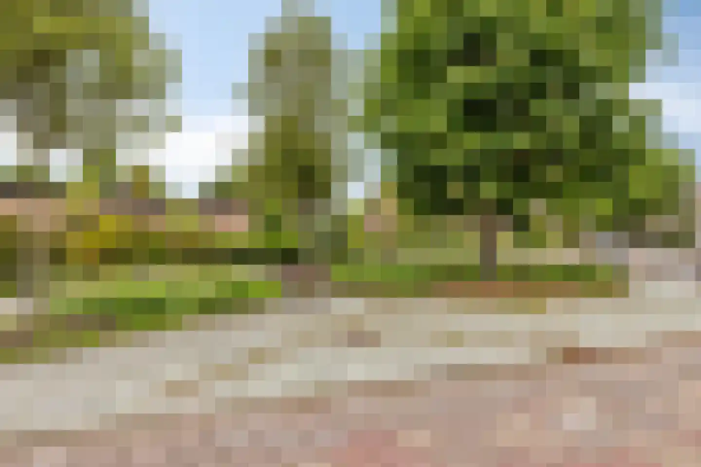 Genovevalaan 150 Eindhoven thumbnail 23