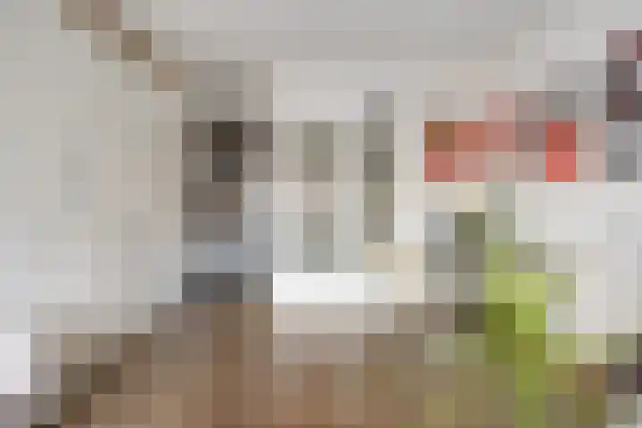 Genovevalaan 158 Eindhoven thumbnail 14