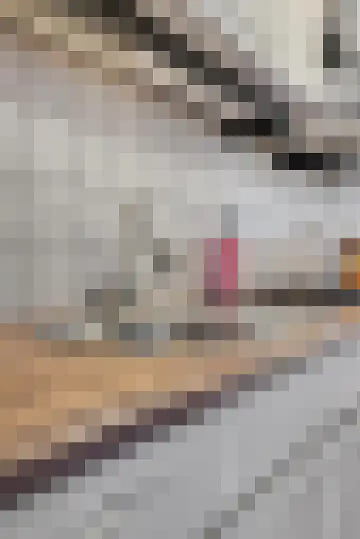 Genovevalaan 158 Eindhoven thumbnail 18