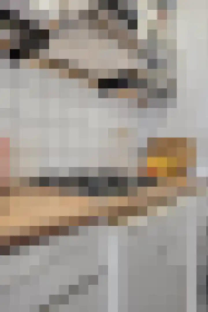 Genovevalaan 158 Eindhoven thumbnail 19