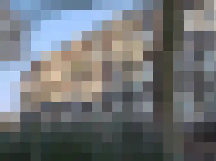 Genovevalaan 158 Eindhoven thumbnail 24