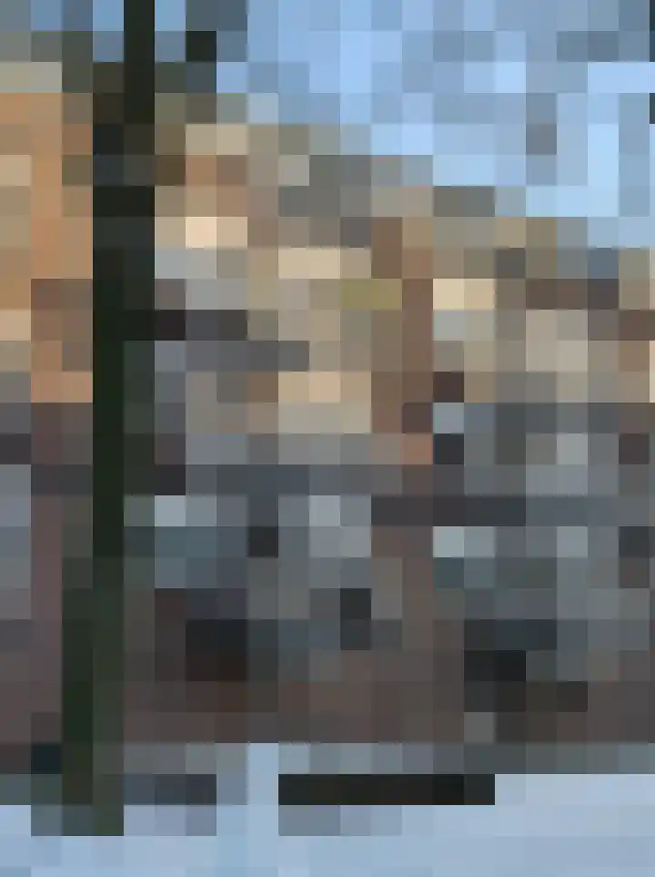 Genovevalaan 158 Eindhoven thumbnail 25