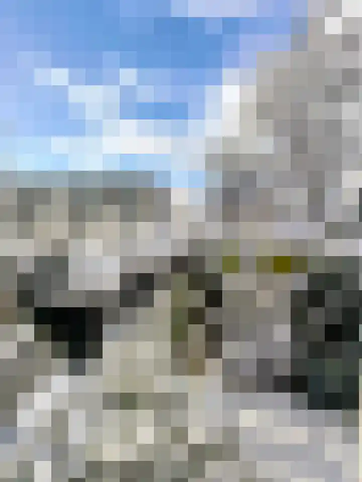 Genovevalaan 158 Eindhoven thumbnail 27