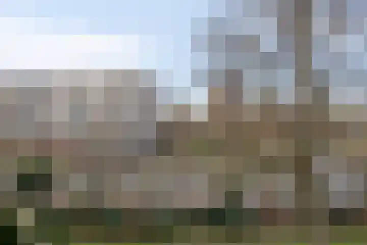 Genovevalaan 158 Eindhoven thumbnail 30