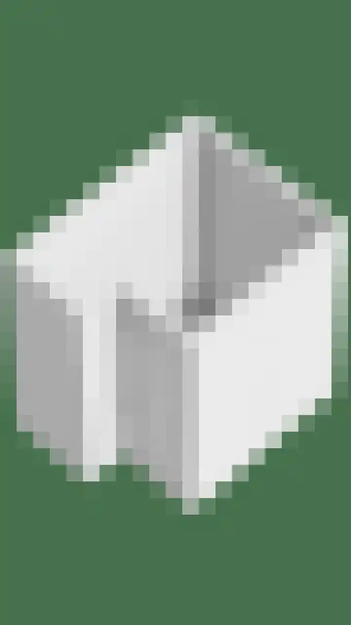 Genovevalaan 158 Eindhoven thumbnail 36