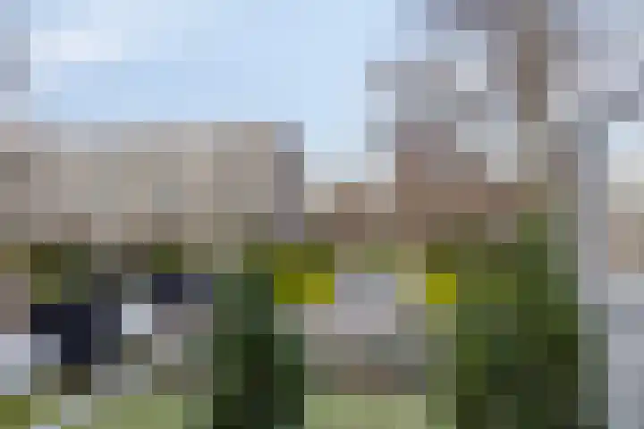 Genovevalaan 158 Eindhoven thumbnail 4
