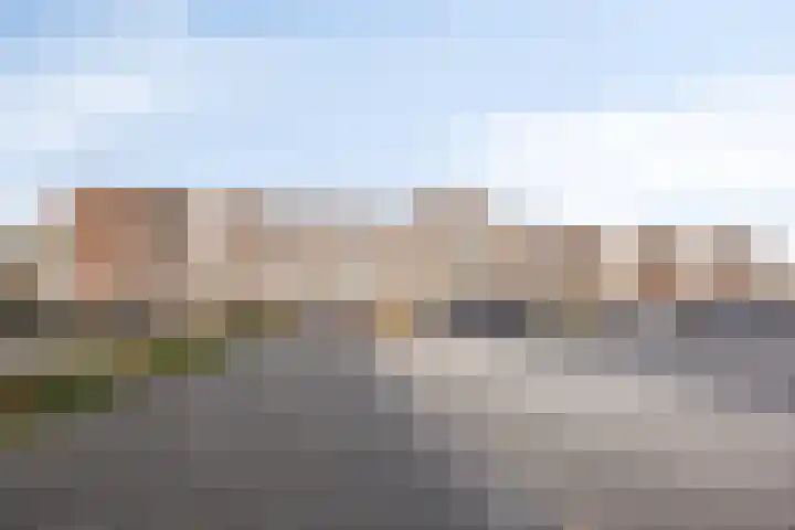 Genovevalaan 158 Eindhoven thumbnail 8