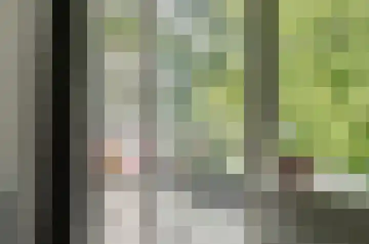 Genovevalaan 168 Eindhoven thumbnail 17