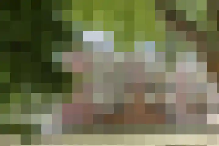Genovevalaan 168 Eindhoven thumbnail 19