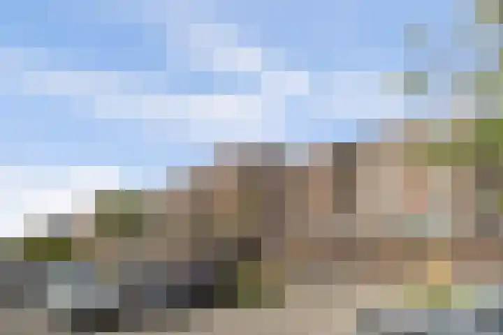 Genovevalaan 168 Eindhoven thumbnail 23