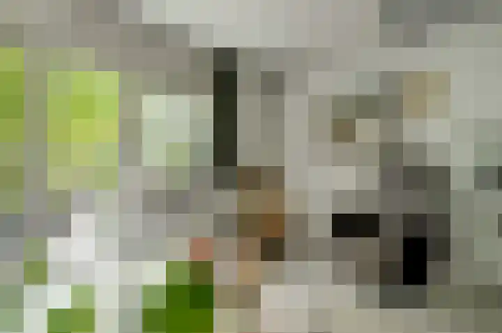 Genovevalaan 168 Eindhoven thumbnail 8