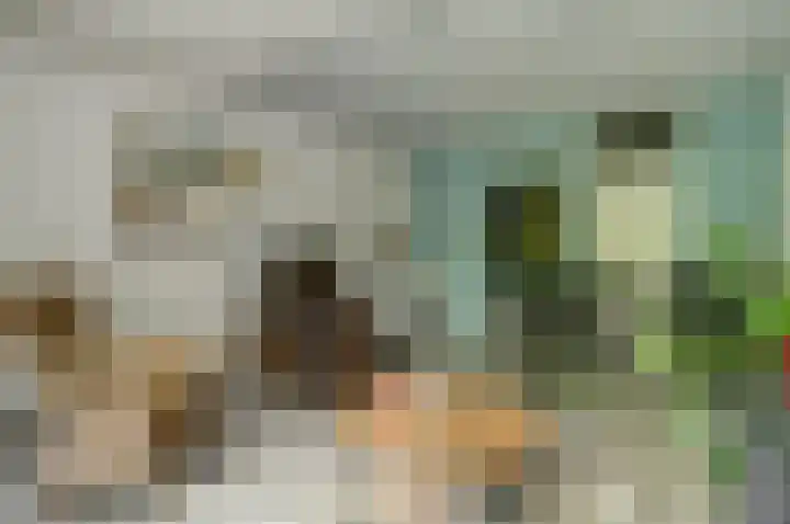 Genovevalaan 168 Eindhoven thumbnail 9