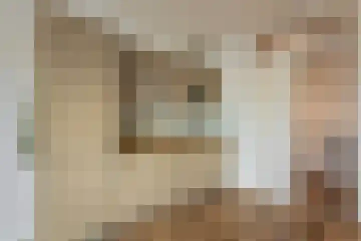 Genovevalaan 176 Eindhoven thumbnail 10
