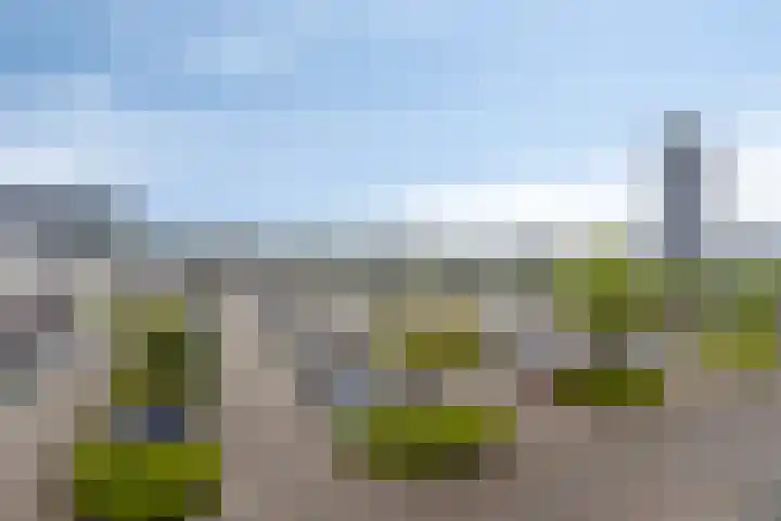 Genovevalaan 176 Eindhoven thumbnail 12