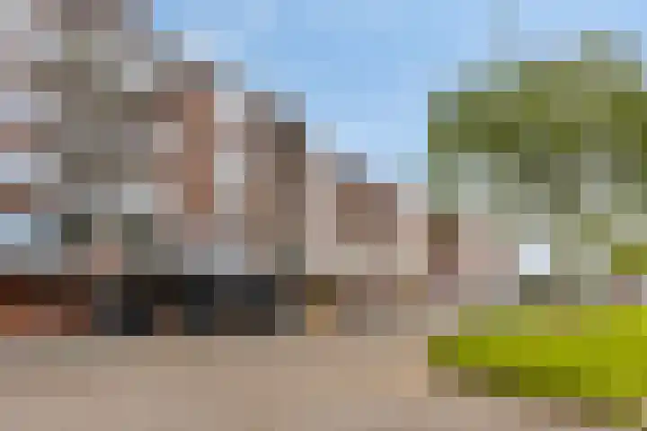 Genovevalaan 176 Eindhoven thumbnail 17