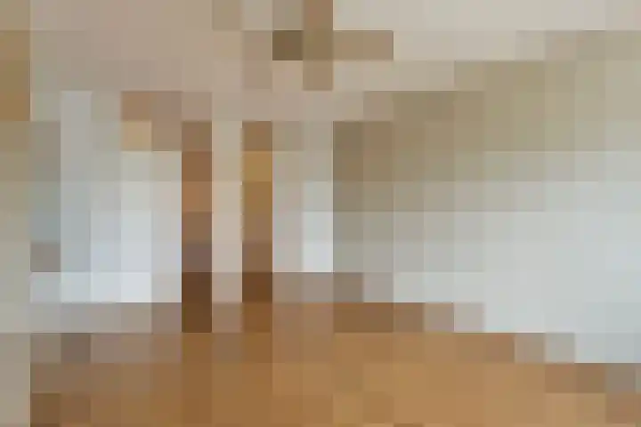 Genovevalaan 176 Eindhoven thumbnail 9