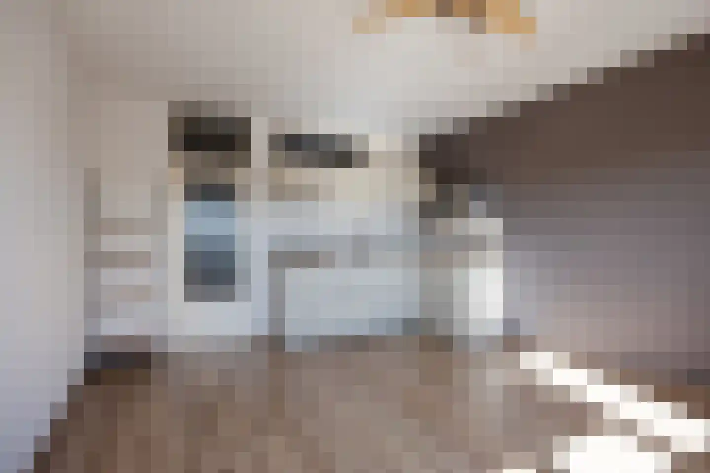 Genovevalaan 184 Eindhoven thumbnail 21