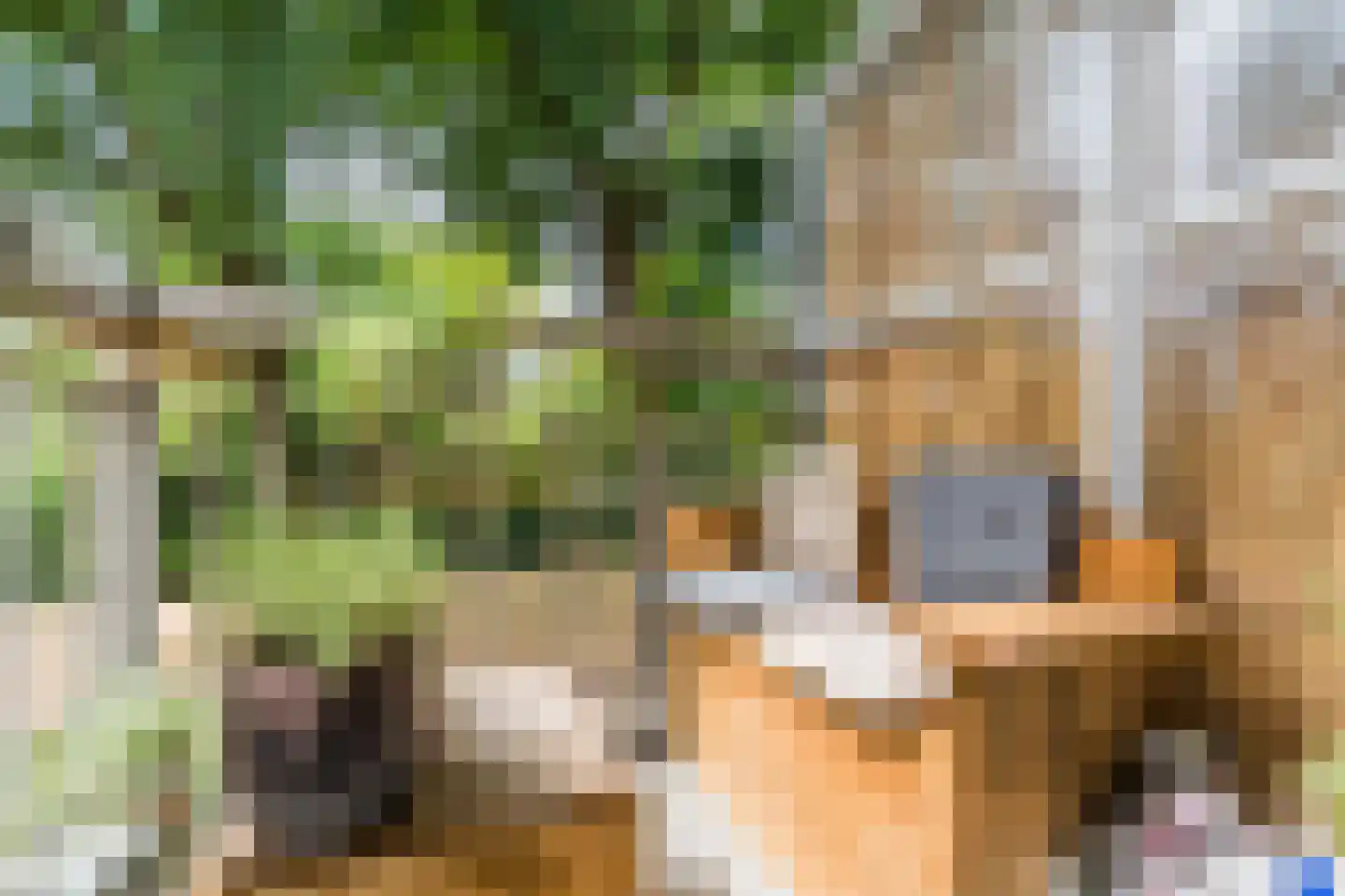 Genovevalaan 22 Eindhoven thumbnail 15