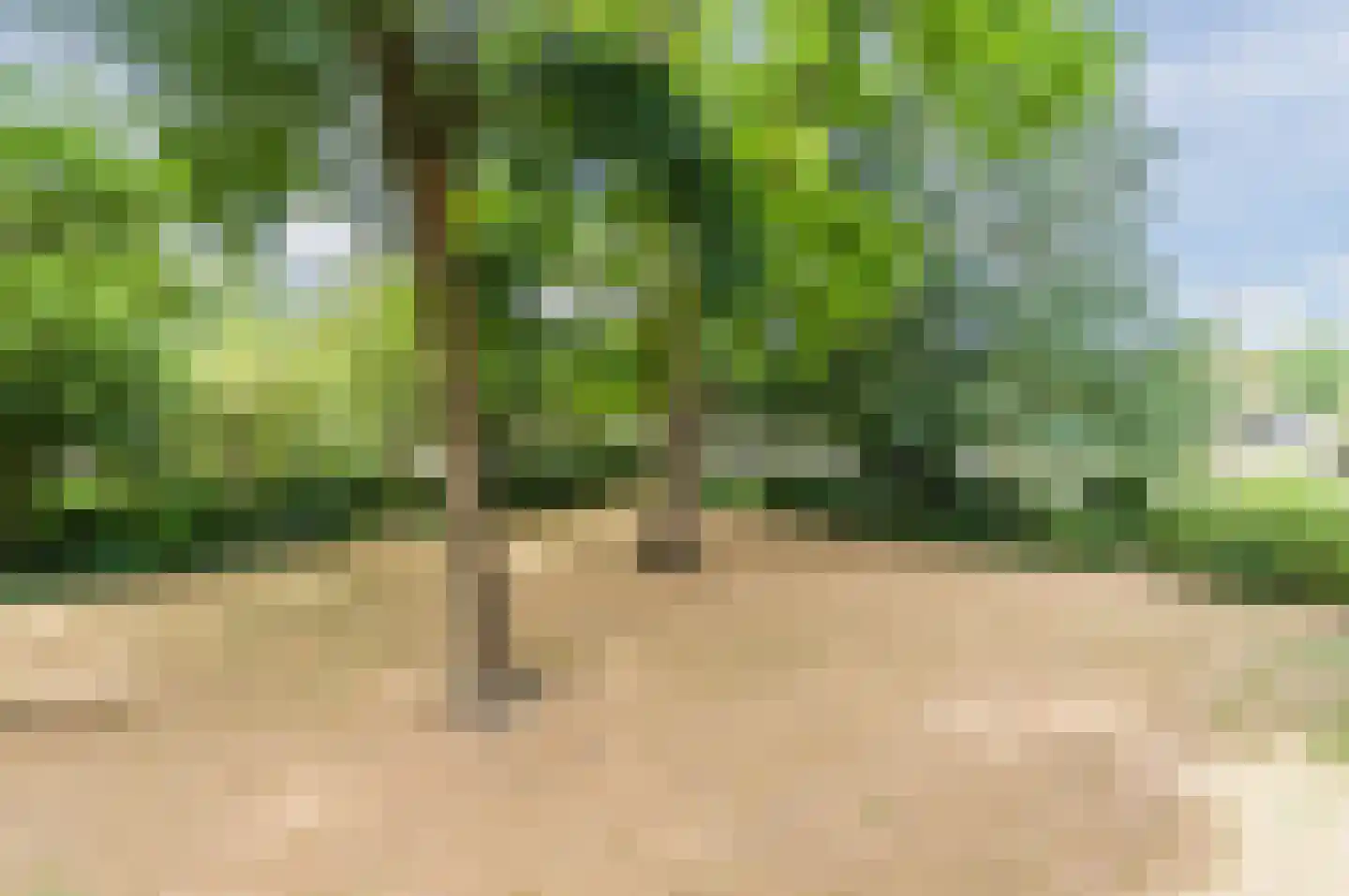 Genovevalaan 22 Eindhoven thumbnail 33