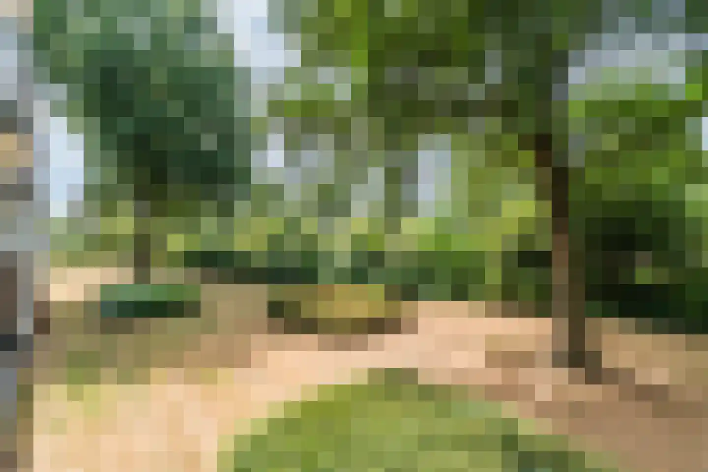 Genovevalaan 22 Eindhoven thumbnail 34