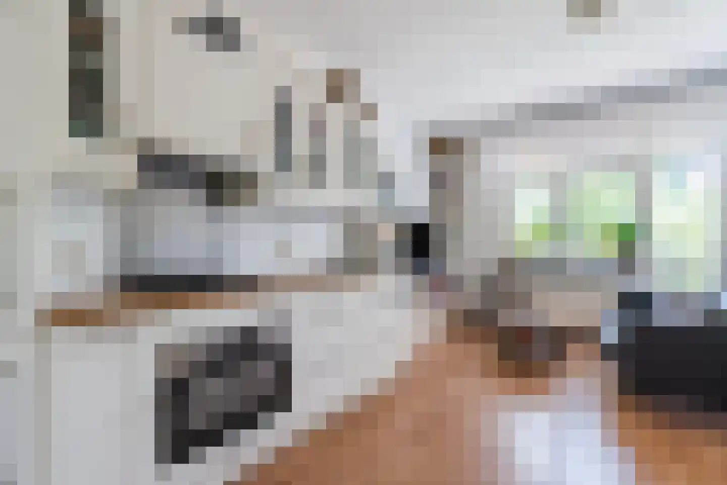 Genovevalaan 22 Eindhoven thumbnail 6