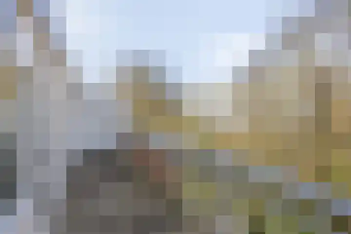 Genovevalaan 226 Eindhoven thumbnail 18