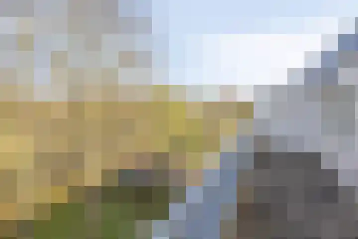 Genovevalaan 226 Eindhoven thumbnail 19