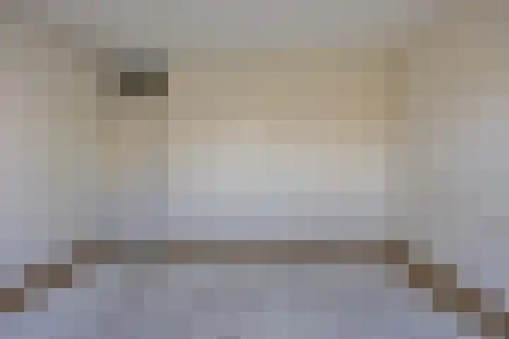Genovevalaan 226 Eindhoven thumbnail 22