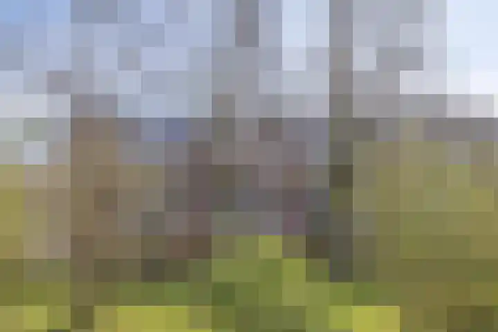 Genovevalaan 226 Eindhoven thumbnail 28