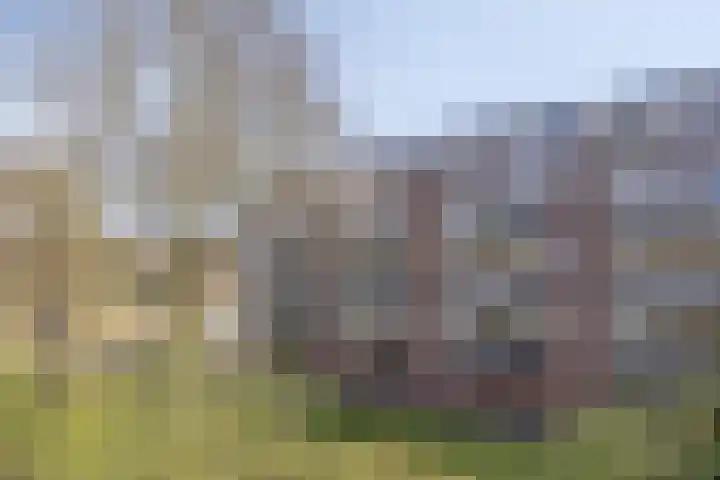 Genovevalaan 226 Eindhoven thumbnail 29