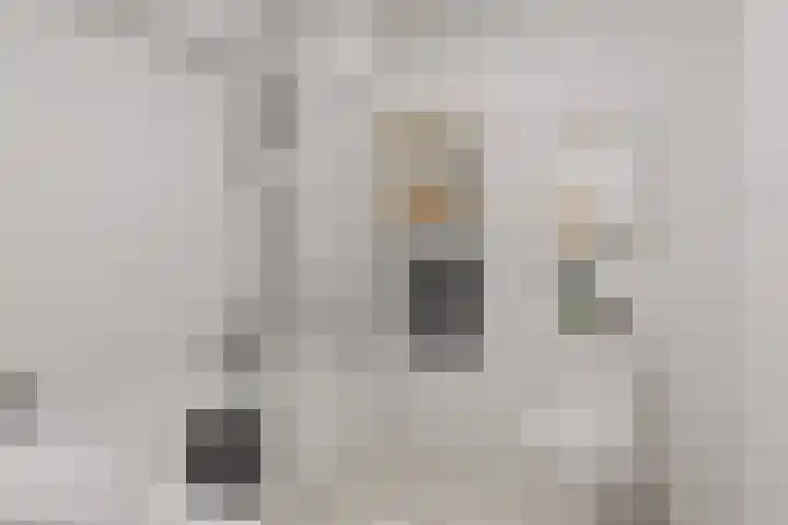 Genovevalaan 226 Eindhoven thumbnail 5