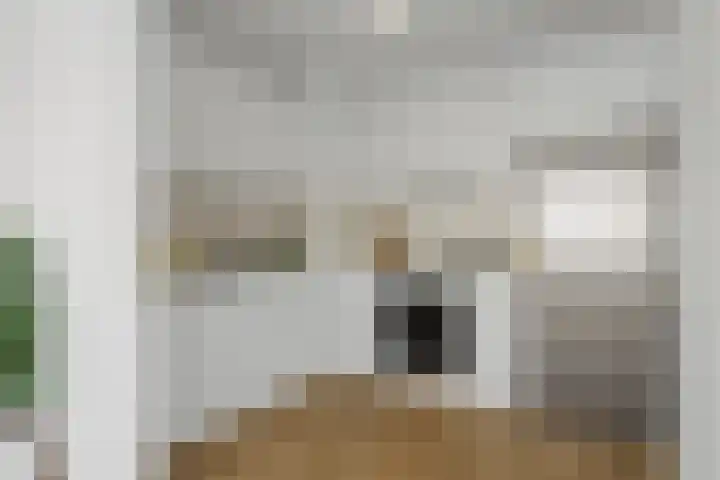 Genovevalaan 226 Eindhoven thumbnail 7