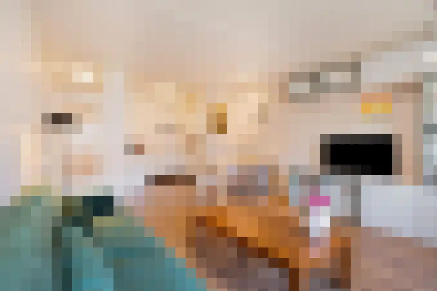 Genovevalaan 272 Eindhoven thumbnail 14
