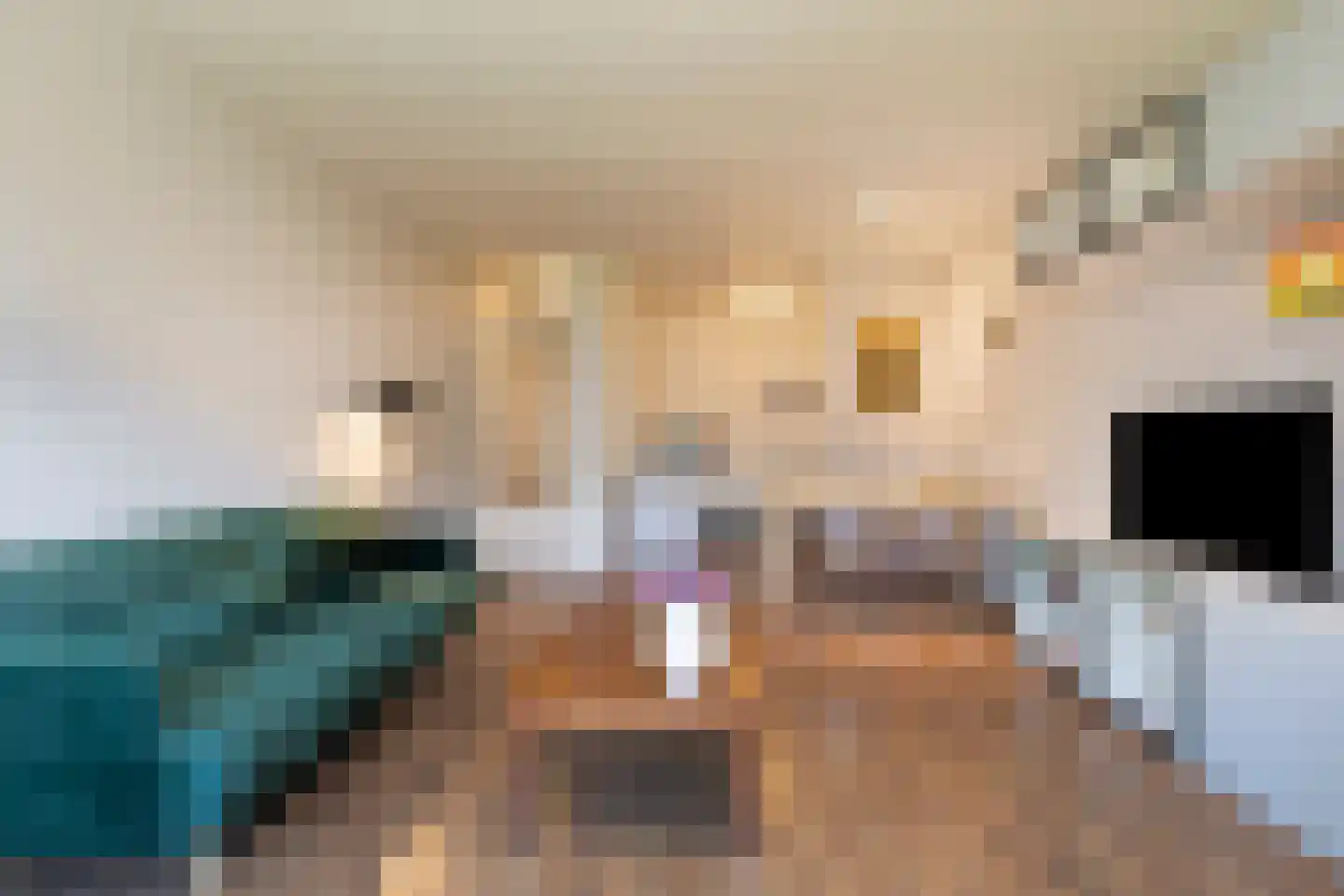 Genovevalaan 272 Eindhoven thumbnail 15