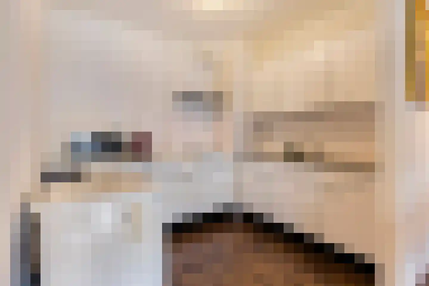 Genovevalaan 272 Eindhoven thumbnail 17