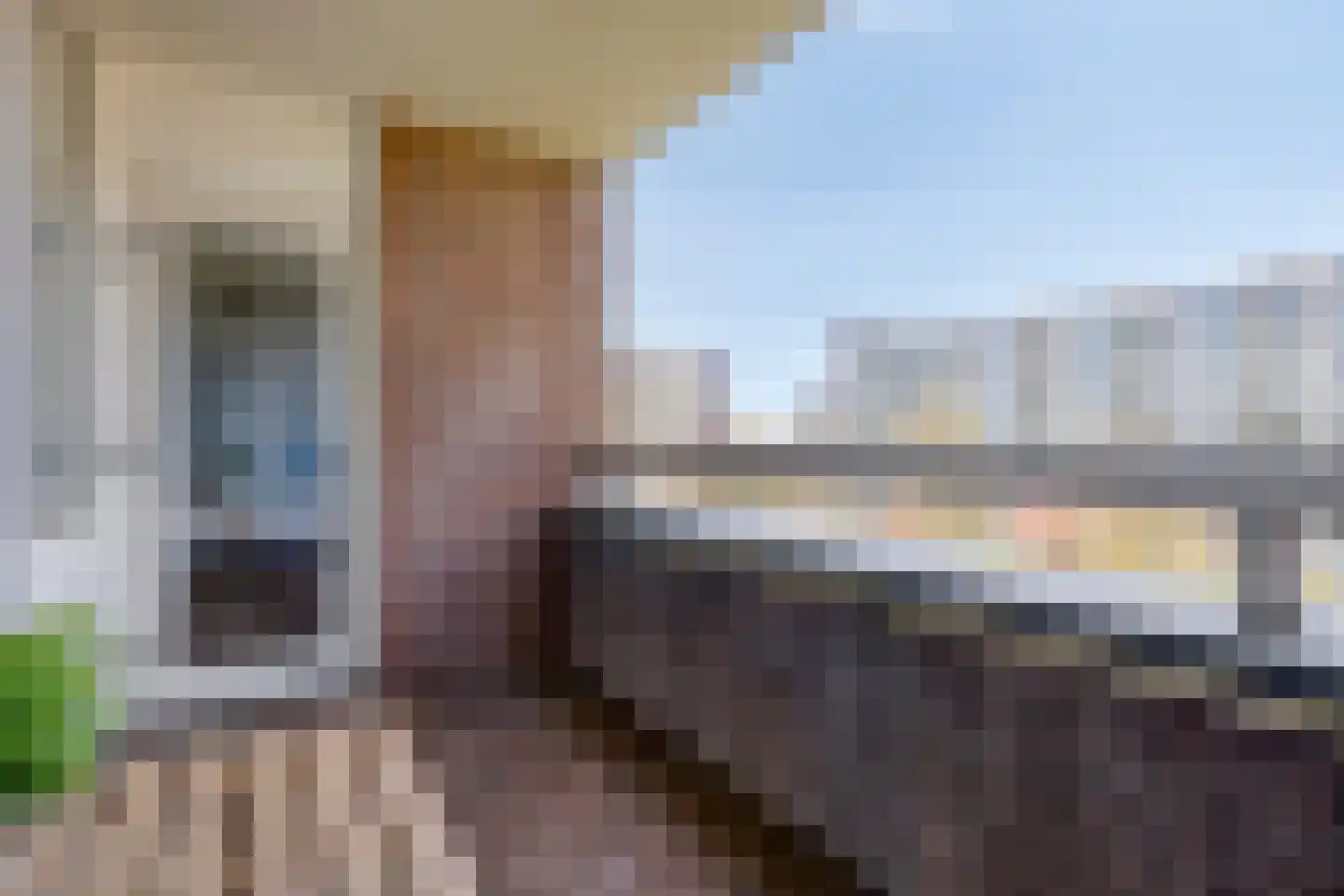 Genovevalaan 272 Eindhoven thumbnail 21