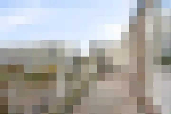 Genovevalaan 290 Eindhoven thumbnail 22