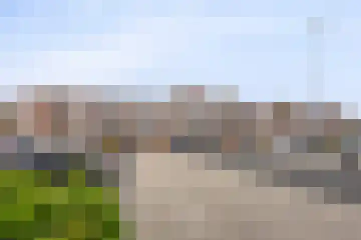 Genovevalaan 290 Eindhoven thumbnail 28