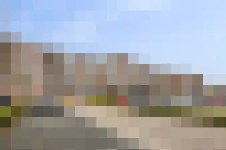 Genovevalaan 290 Eindhoven thumbnail 29