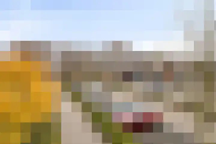 Genovevalaan 290 Eindhoven thumbnail 30