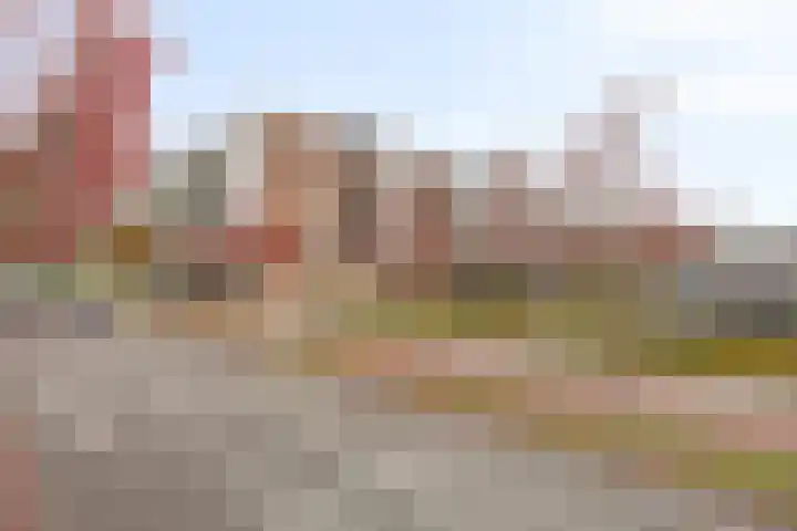 Genovevalaan 290 Eindhoven thumbnail 31