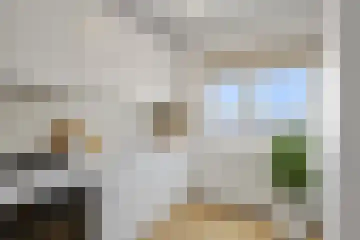 Genovevalaan 290 Eindhoven thumbnail 5