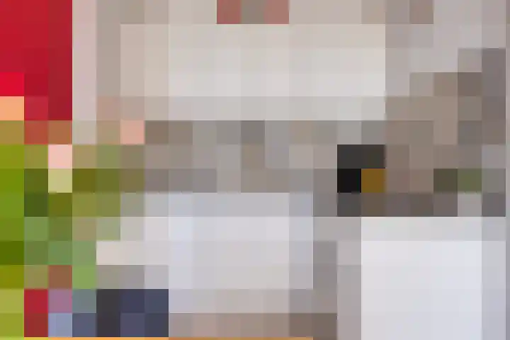 Genovevalaan 32 Eindhoven thumbnail 20
