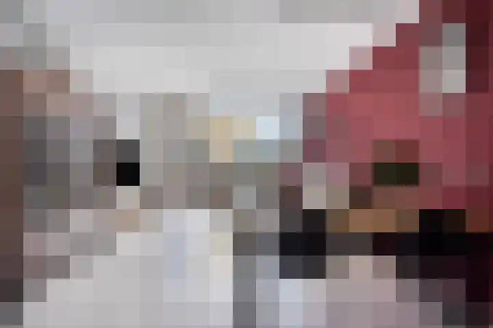 Genovevalaan 32 Eindhoven thumbnail 24