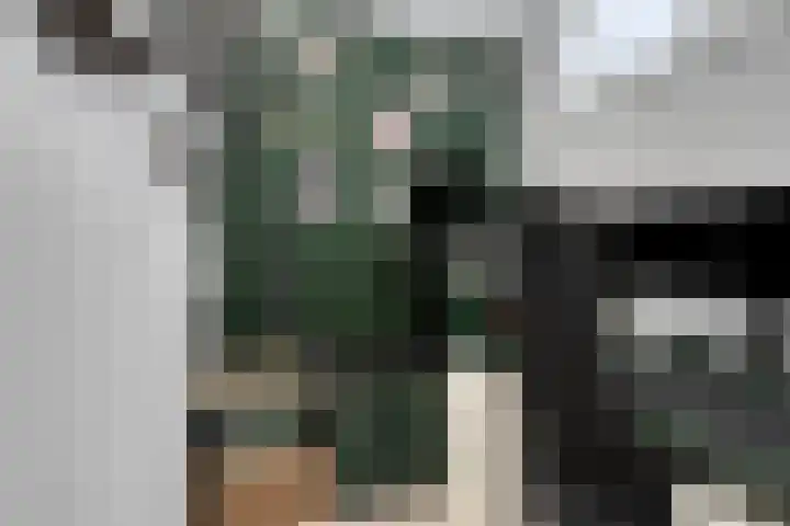 Genovevalaan 32 Eindhoven thumbnail 25