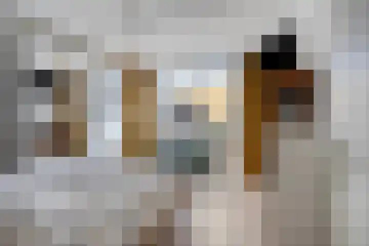 Genovevalaan 32 Eindhoven thumbnail 26