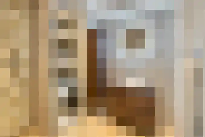 Genovevalaan 32 Eindhoven thumbnail 28