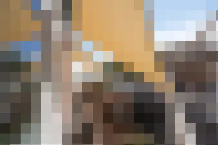 Genovevalaan 32 Eindhoven thumbnail 33